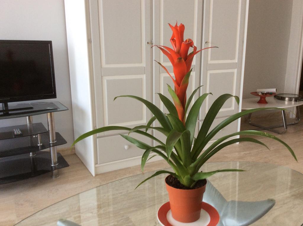 Appartement Dolce Vita Cagnes-sur-Mer Habitación foto